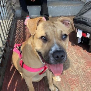 Meet your Posher, Marcos